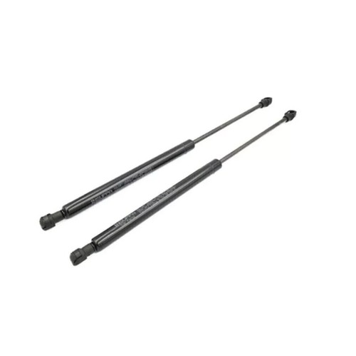 Pair gas springs front - of,