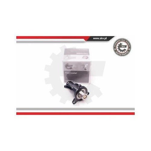 20skv074 esen skv thermostat - esen,