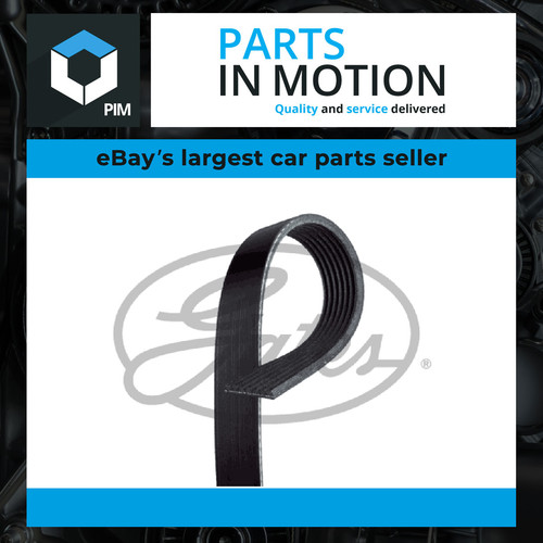 Rib multi drive belt fits - belt,
