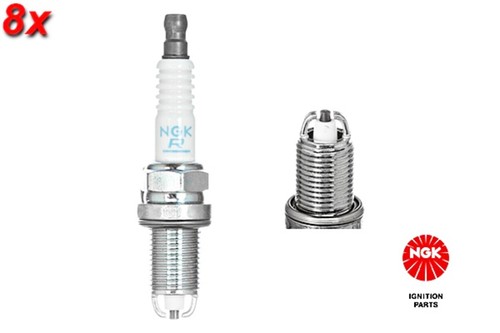 Spark plug ngk - plug, alpina