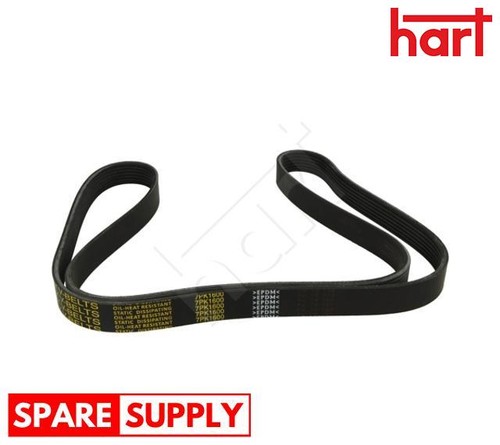 Ribbed belt for - for, renault